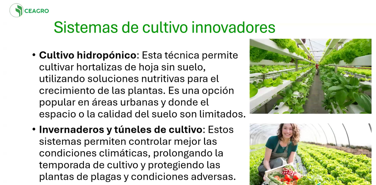 CULTIVOS HORTÍCOLAS 1